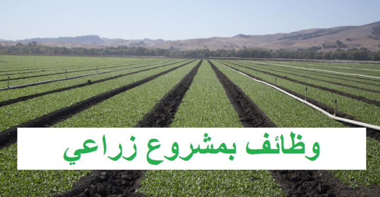 وظائف بمشروع زراعي