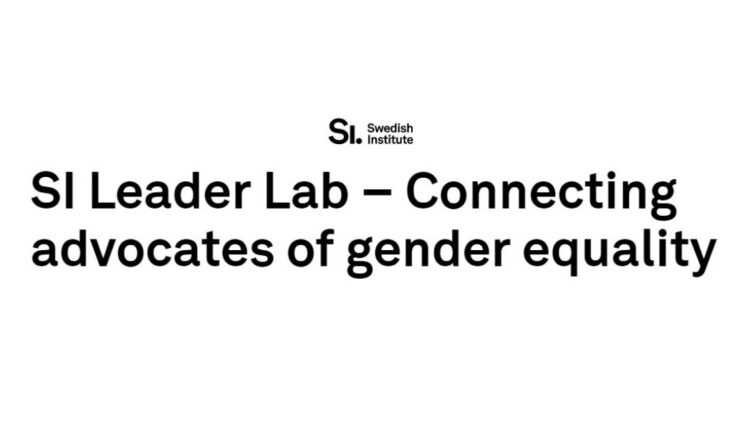 SI Leader Lab – Connecting pioneers in civil society
