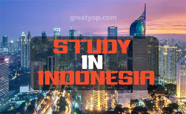 Diponegoro University Scholarship, Indonesia 2022